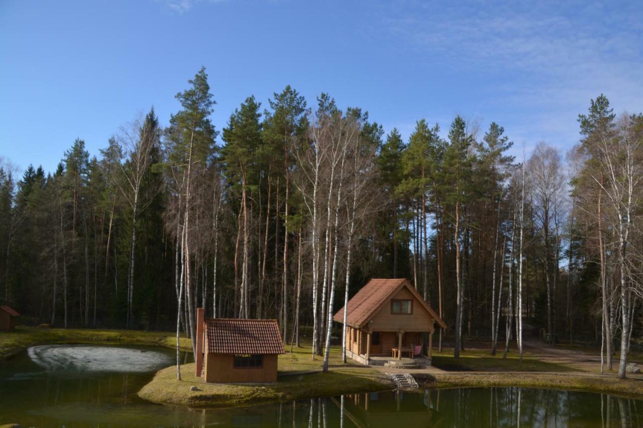 Medaji Villa Zaķumuiža Kültér fotó